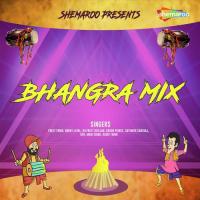 Bhangra Mix songs mp3