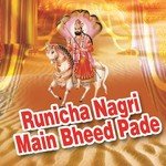 Runicha Nagri Main Bheed Pade songs mp3