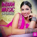 Indian Music Experience, Vol. 3 songs mp3