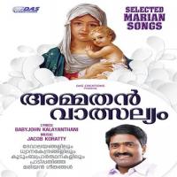Murivukalonnum Wilswaraj Song Download Mp3