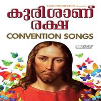 Neechanam Biju Narayanan Song Download Mp3