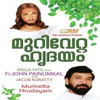 Anayunnitha Biju Narayanan Song Download Mp3