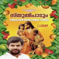 Nanmakalpozyhiyum Sibilla Song Download Mp3