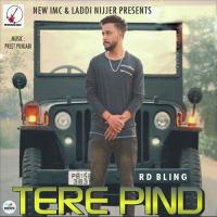 Tere Pind RD Bling Song Download Mp3