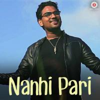 Nanhi Pari Aamir Ali Sultan Song Download Mp3