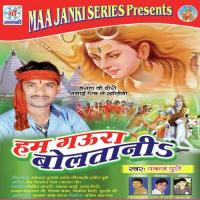 Ham Gaura Boltania songs mp3