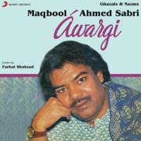 Haan Haan Maine Pyar Kiya Hai (Live) Maqbool Ahmed Sabri Song Download Mp3