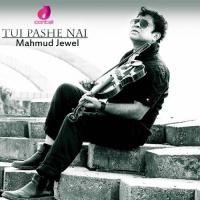 Tui Pashe Nai songs mp3