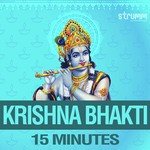 Krishna Bhakti - 15 Minutes songs mp3
