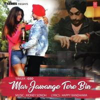 Mar Jawange Tere Bin GSD Song Download Mp3