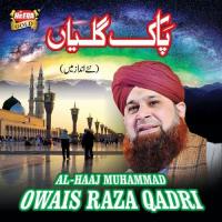 Pak Galiyan Alhajj Muhammad Owais Raza Qadri Song Download Mp3