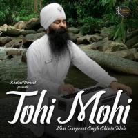 Tohi Mohi Bhai Gurpreet Singh Ji Shimla Wale Song Download Mp3