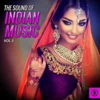 The Sound of Indian Music, Vol. 5 songs mp3