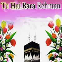 Tu Hai Bara Rehman songs mp3