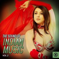The Sound of Indian Music, Vol. 2 songs mp3