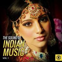 The Sound of Indian Music, Vol. 1 songs mp3