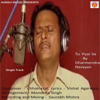 Tu Pyaar Se Dharmendra Narayan Song Download Mp3