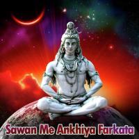 Sawan Me Ankhiya Farkata Dj Remix Nagendra Ujala,Punita Song Download Mp3
