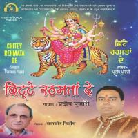 Bahut Kuch Diya Sheranwali Ne Pardeep Pujari Song Download Mp3