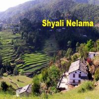 Shyali Nelama songs mp3