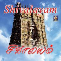 Nandheeswararperumane Krishna Raj Song Download Mp3