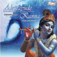 Alaipayude Ramanujam Song Download Mp3