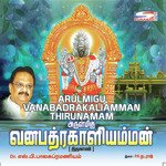 Arulmigu Vanabadrakali Amman Thirunamam S. P. Balasubrahmanyam Song Download Mp3