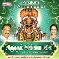 Annamaalai Puranam S. P. Balasubrahmanyam,S P Sailaja,Prabhakar Song Download Mp3
