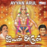 Kandhamaalaiye Kandhamaalaiye Pushpavanam Kuppusamy,Harish Raghavendra Song Download Mp3
