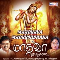Madhava Madhusudhana Vani Jairam Song Download Mp3