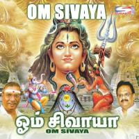 Om Namashivaya S. P. Balasubrahmanyam Song Download Mp3