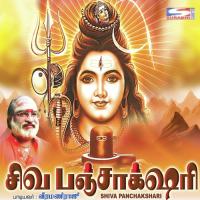 Om Akileshwarare Potri Veeramani Raju Song Download Mp3