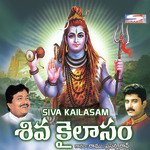 Sri Sailame Kailasam Ramu Song Download Mp3