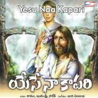 Yesu Naa Kapari songs mp3