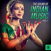 The Sound of Indian Music, Vol. 7 songs mp3