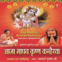 Aaja Madhav Krishan Kanhaiya songs mp3