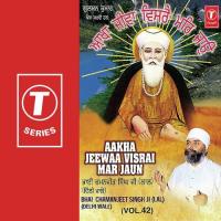 Aakha Jeewaa Visrai Mar Jaun (Vol. 42) songs mp3