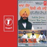 Aakhan Jeevaan Visre Mar Jaun songs mp3