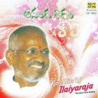 Aanandha Raagam Rare Hits Of Ilaiyaraja songs mp3