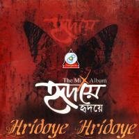 Bhalobashi Himu Song Download Mp3
