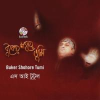 Buker Shohore Tumi S. I. Tutul Song Download Mp3
