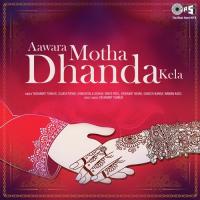 Aavara Motha Dhanda Kela Yashwant Thakur Song Download Mp3