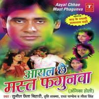 Aayal Chhae Mast Fagunwa songs mp3