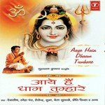 Aaye Hain Dhaam Tumhare songs mp3