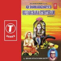 Adi Shankaracharya&039;s Bilvarchana Sthothram Sri Hari Atchuta Rama Sastry Song Download Mp3