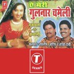 Ae Meri Gulnaar Chameli songs mp3