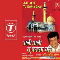 Ali Ali Tu Kehta Chal songs mp3