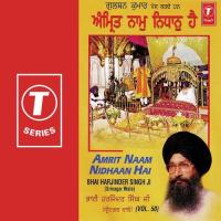 Amrit Naam Nidhaan Hai (Vol. 50) songs mp3