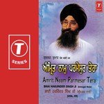 Amrit Naam Parmesar Tera (Vol. 49) songs mp3