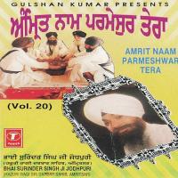 Amrit Naam Parmeshwar Tera (Vol. 20) songs mp3